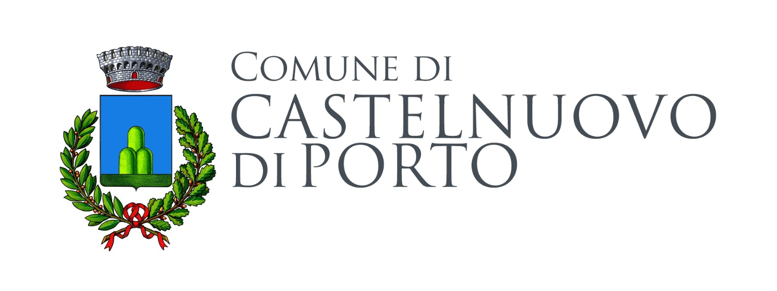 logo Comune Castelnuovo